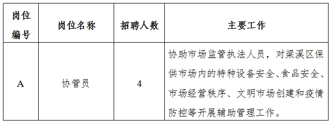 互联网数据服务 第4页