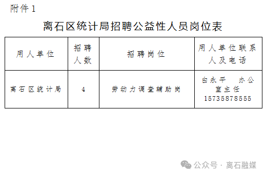 石楼县统计局最新招聘启事