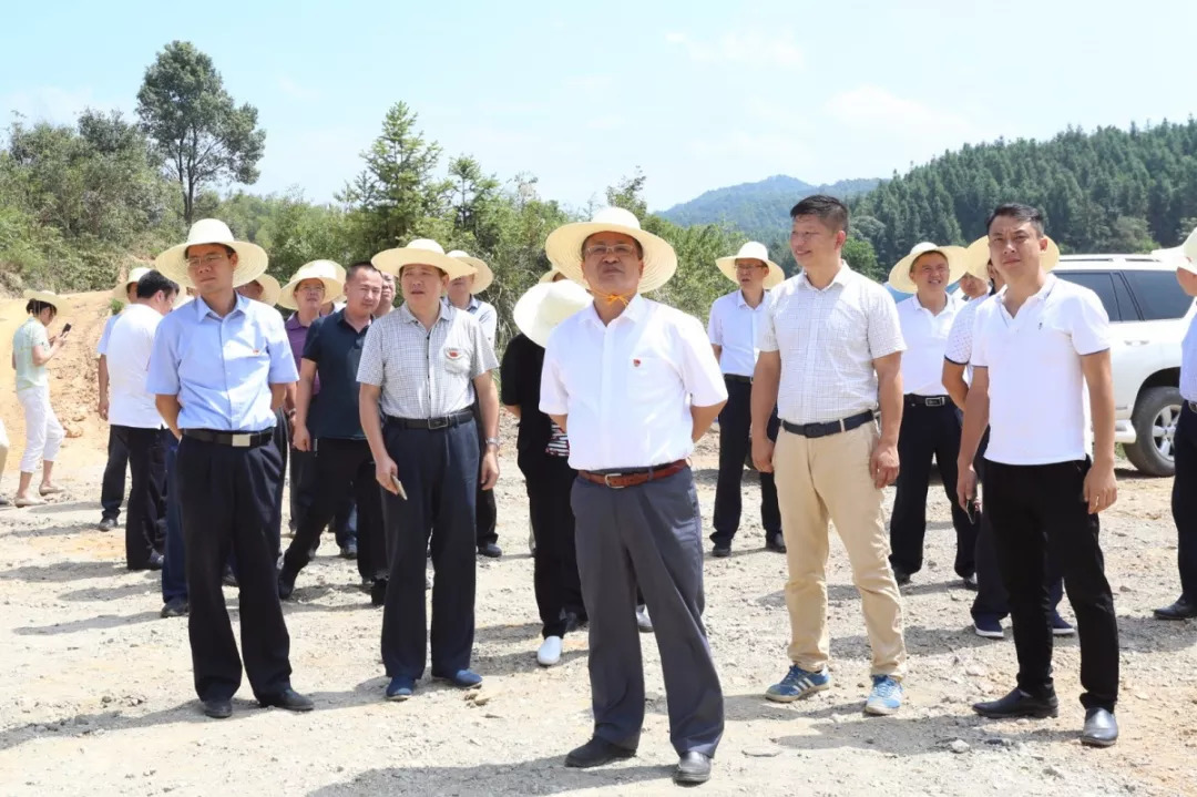 凉森村新领导引领乡村繁荣新篇章