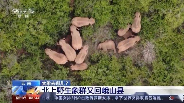 财大社区天气预报更新通知