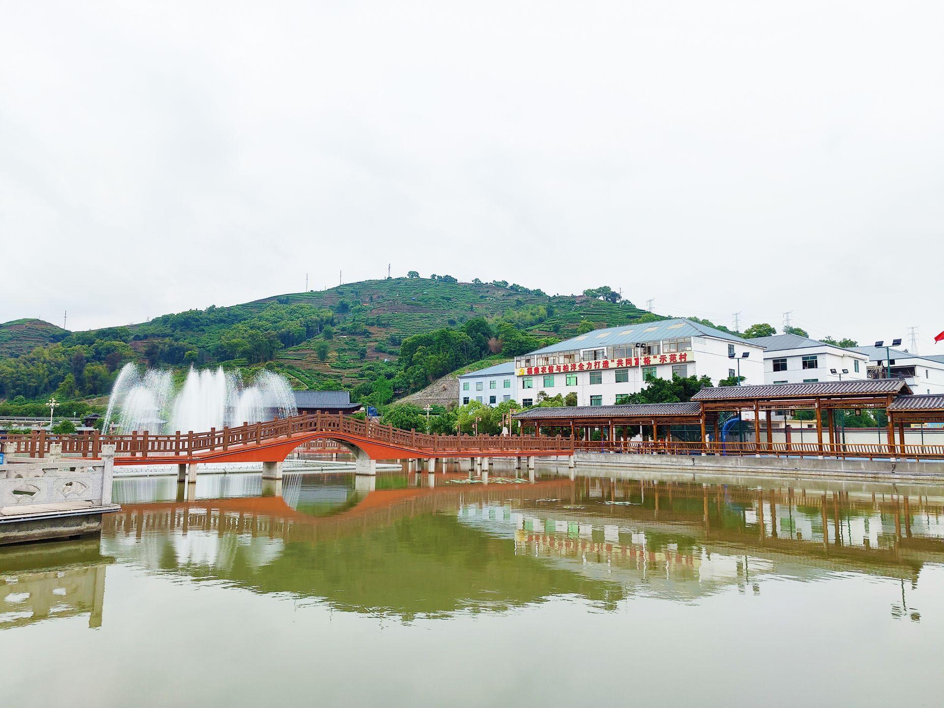 硖门镇新项目启动，地区发展新动力引领未来