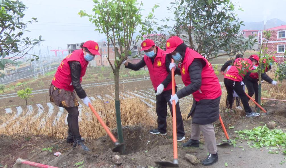 太平区审计局招聘信息与招聘细节全面解析