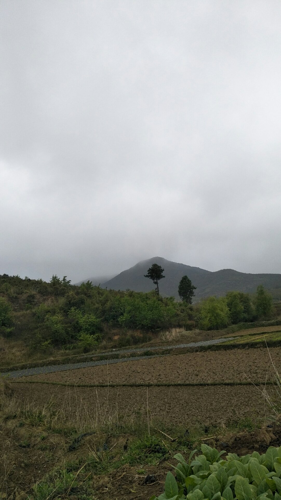 安临站镇天气预报更新通知