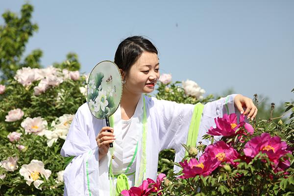 海东地区市扶贫开发领导小组办公室最新发展规划揭晓